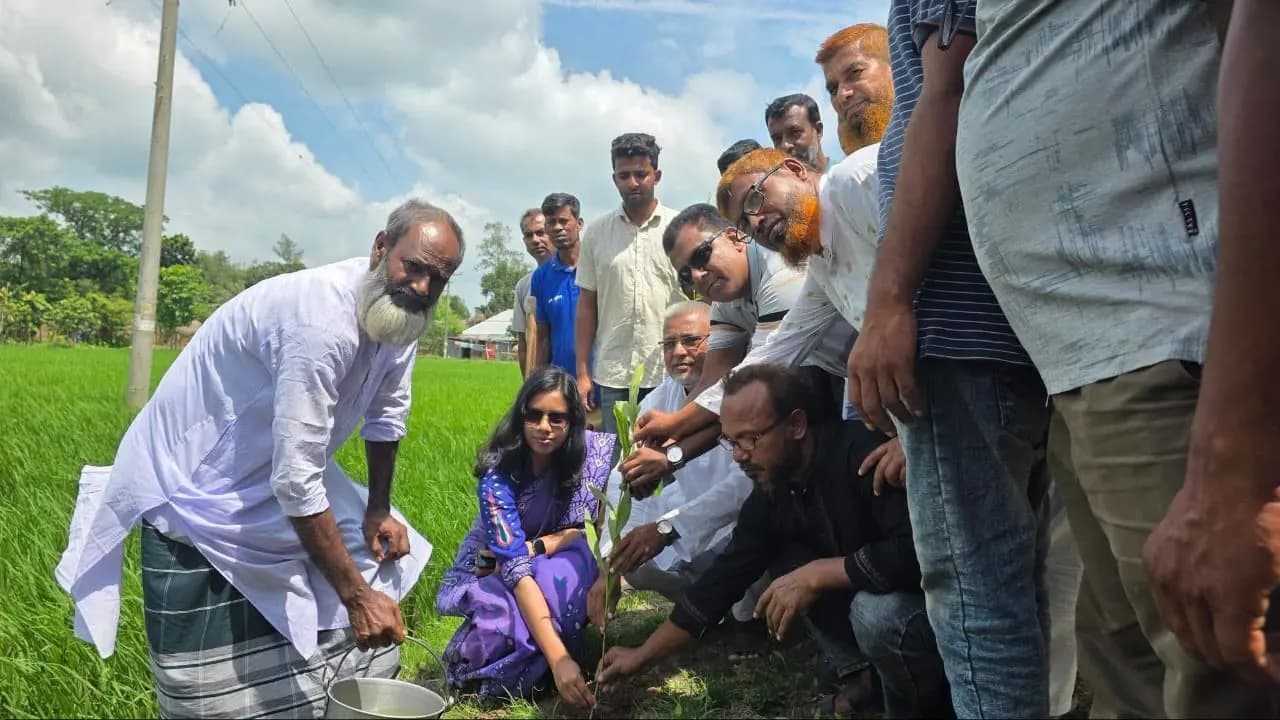 পাঁচবিবির বাগজানাতে ২ হাজার গাছ লাগালেন ইউপি চেয়ারম্যান নাজমুল হক